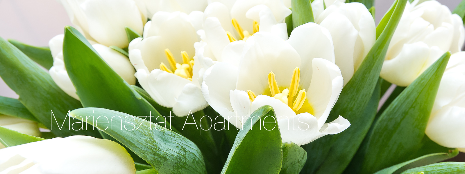 …and we love flowers :)