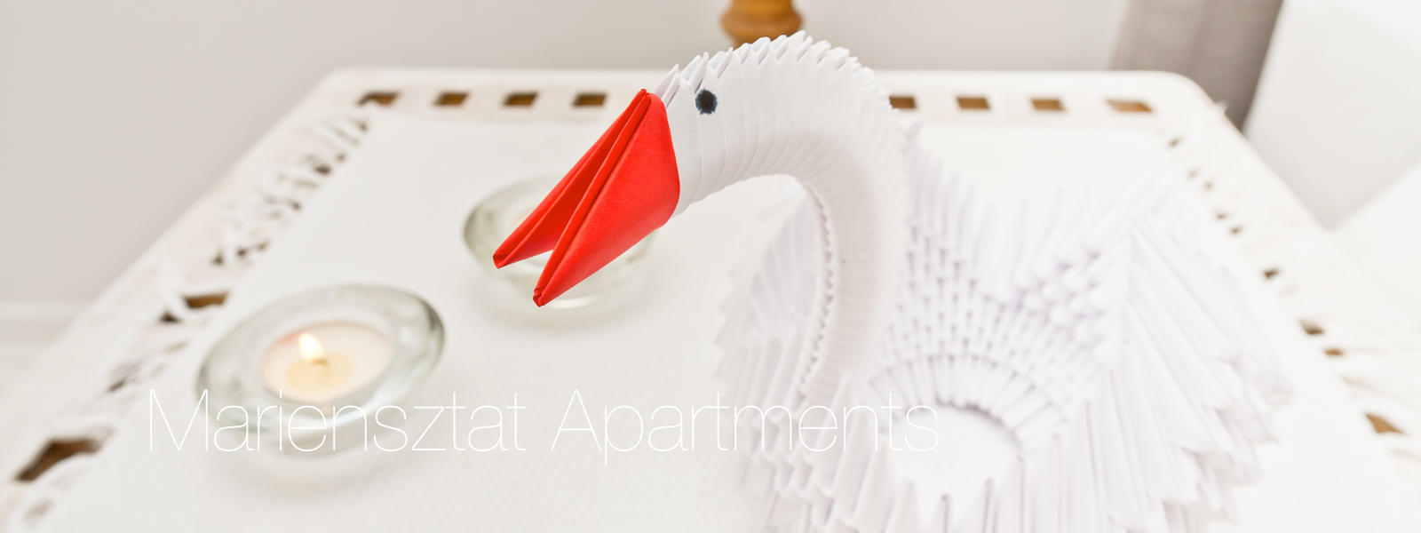 Swan